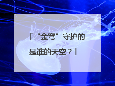“金穹”守护的是谁的天空？