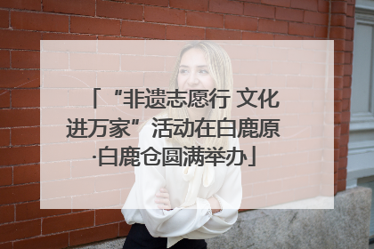 “非遗志愿行 文化进万家”活动在白鹿原·白鹿仓圆满举办