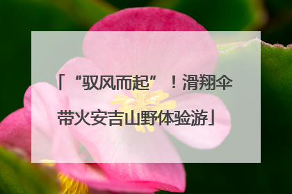 “驭风而起”！滑翔伞带火安吉山野体验游