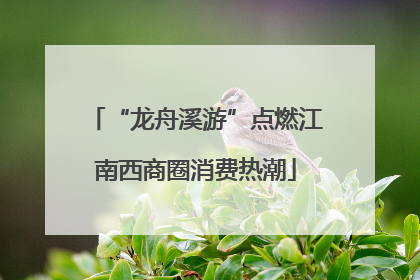 “龙舟溪游”点燃江南西商圈消费热潮