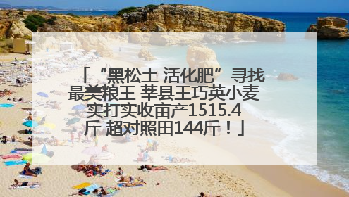 “黑松土 活化肥”寻找最美粮王 莘县王巧英小麦实打实收亩产1515.4斤 超对照田144斤！