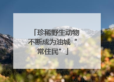 珍稀野生动物不断成为油城“常住民”