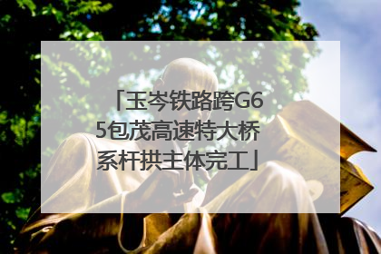 玉岑铁路跨G65包茂高速特大桥系杆拱主体完工