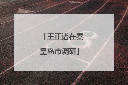 王正谱在秦皇岛市调研