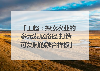 王超：探索农业的多元发展路径 打造可复制的融合样板