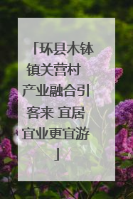 环县木钵镇关营村 产业融合引客来 宜居宜业更宜游
