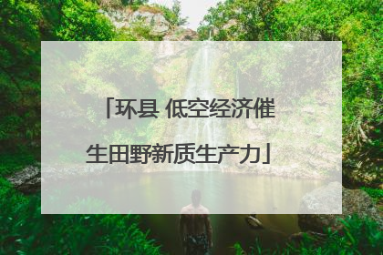 环县 低空经济催生田野新质生产力