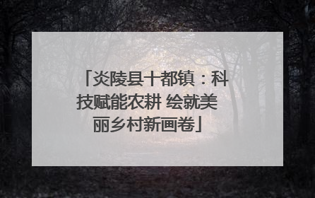 炎陵县十都镇：科技赋能农耕 绘就美丽乡村新画卷