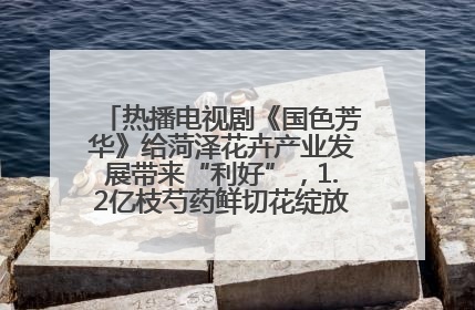 热播电视剧《国色芳华》给菏泽花卉产业发展带来“利好”，1.2亿枝芍药鲜切花绽放“国色芳华”
