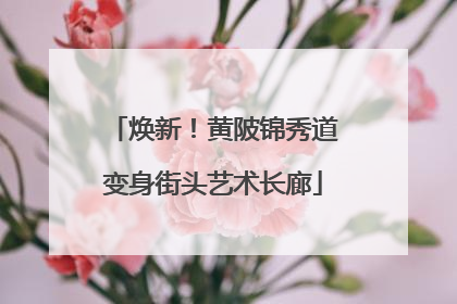 焕新！黄陂锦秀道变身街头艺术长廊