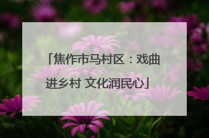 焦作市马村区：戏曲进乡村 文化润民心