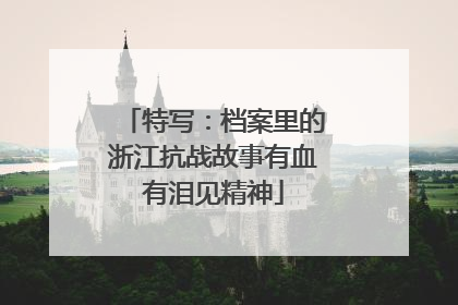 特写：档案里的浙江抗战故事有血有泪见精神