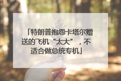 特朗普抱怨卡塔尔赠送的飞机“太大”，不适合做总统专机