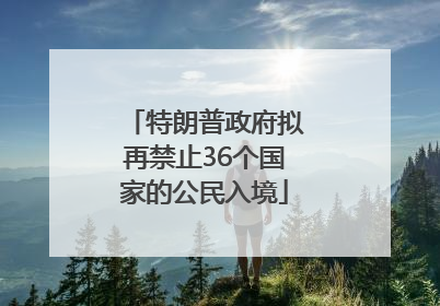 特朗普政府拟再禁止36个国家的公民入境