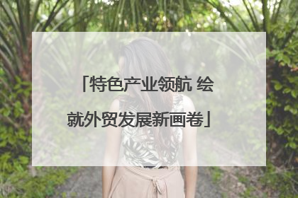 特色产业领航 绘就外贸发展新画卷