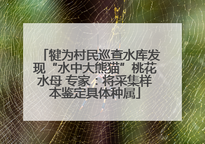犍为村民巡查水库发现“水中大熊猫”桃花水母 专家：将采集样本鉴定具体种属