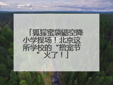 狐獴蜜袋鼯空降小学操场！北京这所学校的“撸宠节”火了！