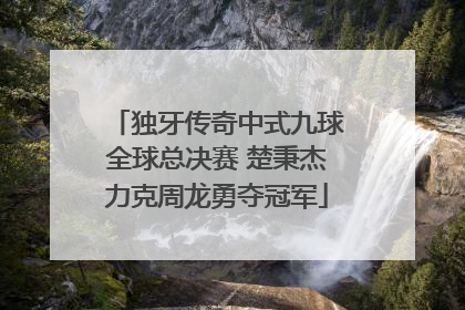 独牙传奇中式九球全球总决赛 楚秉杰力克周龙勇夺冠军
