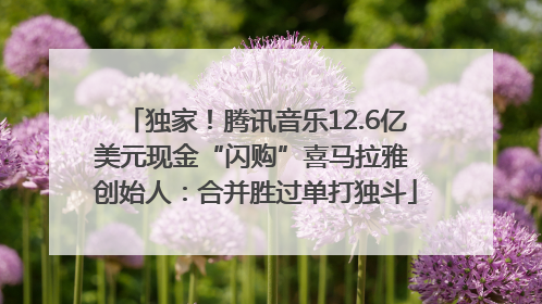 独家！腾讯音乐12.6亿美元现金“闪购”喜马拉雅 创始人：合并胜过单打独斗