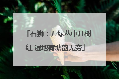 石狮：万绿丛中几树红 湿地荷塘韵无穷
