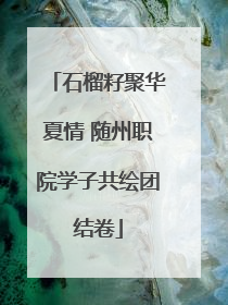 石榴籽聚华夏情 随州职院学子共绘团结卷