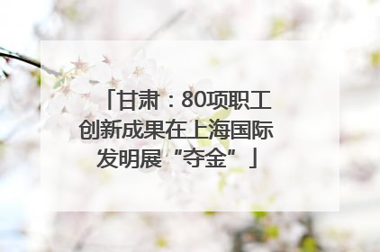 甘肃：80项职工创新成果在上海国际发明展“夺金”