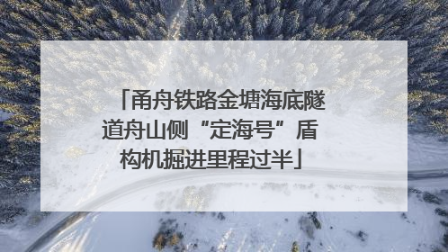 甬舟铁路金塘海底隧道舟山侧“定海号”盾构机掘进里程过半