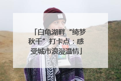 白龟湖畔“绮梦秋千”打卡点：感受城市浪漫温情