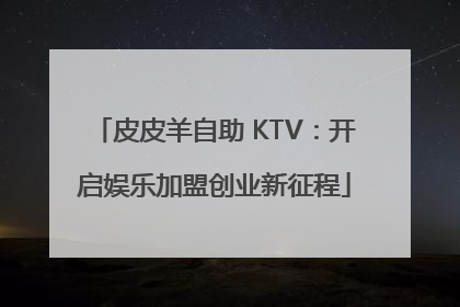 皮皮羊自助 KTV：开启娱乐加盟创业新征程