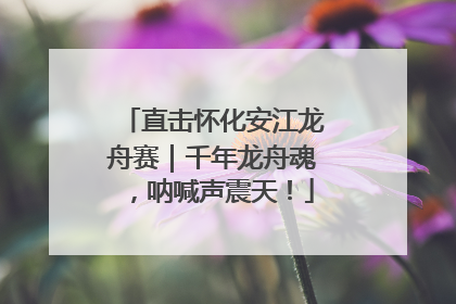 直击怀化安江龙舟赛｜千年龙舟魂，呐喊声震天！