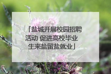 盐城开展校园招聘活动 促进高校毕业生来盐留盐就业