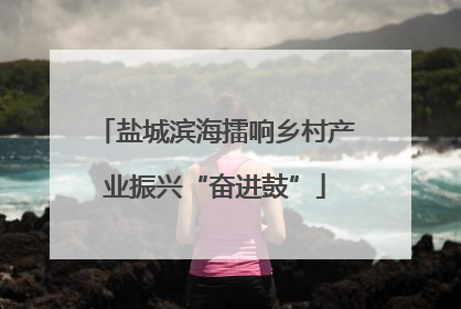 盐城滨海擂响乡村产业振兴“奋进鼓”
