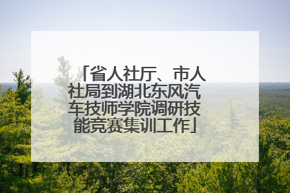省人社厅、市人社局到湖北东风汽车技师学院调研技能竞赛集训工作