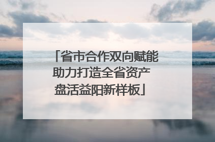 省市合作双向赋能 助力打造全省资产盘活益阳新样板