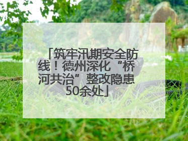 筑牢汛期安全防线！德州深化“桥河共治”整改隐患50余处