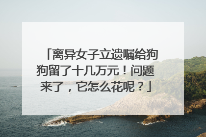离异女子立遗嘱给狗狗留了十几万元！问题来了，它怎么花呢？