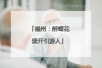 福州：醉蝶花盛开引游人