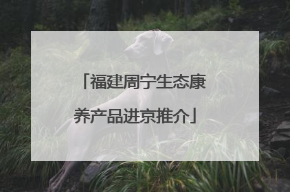 福建周宁生态康养产品进京推介