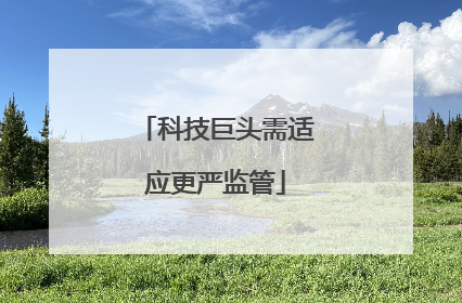 科技巨头需适应更严监管