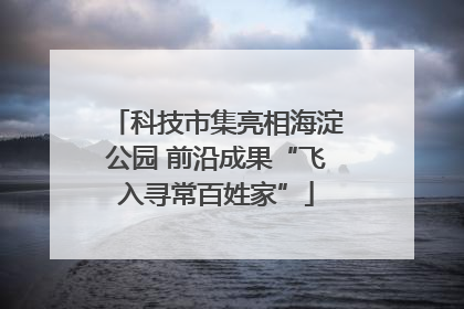 科技市集亮相海淀公园 前沿成果“飞入寻常百姓家”