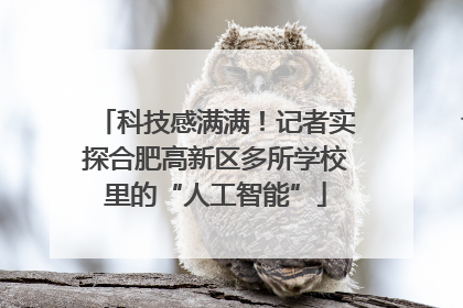 科技感满满！记者实探合肥高新区多所学校里的“人工智能”