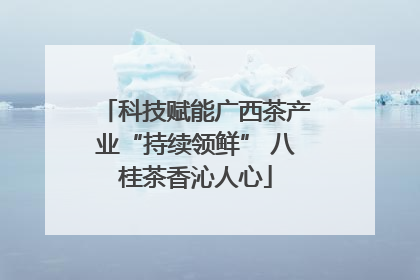 科技赋能广西茶产业“持续领鲜” 八桂茶香沁人心
