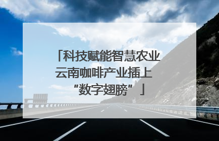 科技赋能智慧农业 云南咖啡产业插上“数字翅膀”