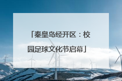 秦皇岛经开区：校园足球文化节启幕