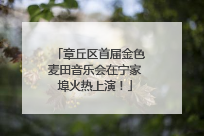 章丘区首届金色麦田音乐会在宁家埠火热上演！