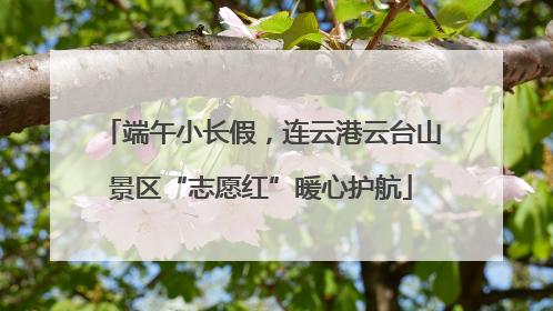 端午小长假，连云港云台山景区“志愿红”暖心护航