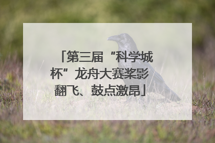 第三届“科学城杯”龙舟大赛桨影翻飞、鼓点激昂