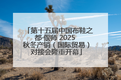 第十五届中国布鞋之都·偃师 2025 秋冬产销（国际贸易）对接会隆重开幕