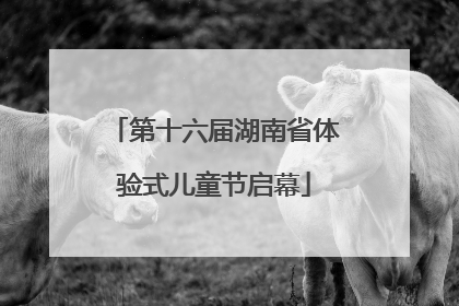 第十六届湖南省体验式儿童节启幕