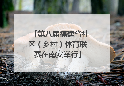 第八届福建省社区（乡村）体育联赛在南安举行